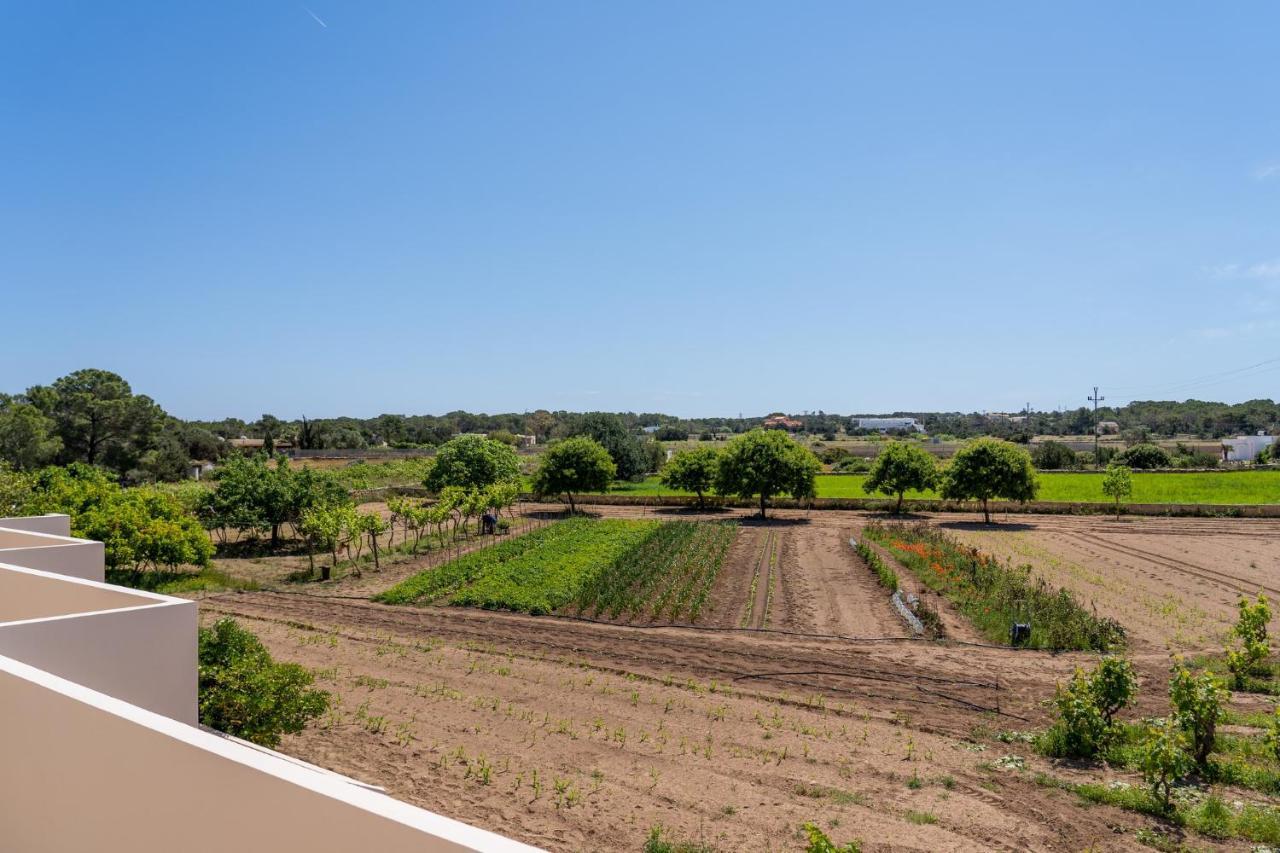 Apartamentos Marcelino - Formentera Break Es Pujols Exteriör bild