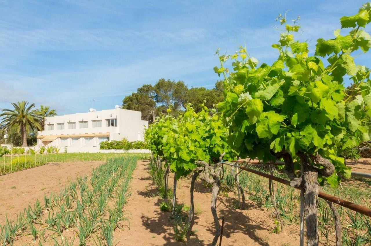 Apartamentos Marcelino - Formentera Break Es Pujols Exteriör bild